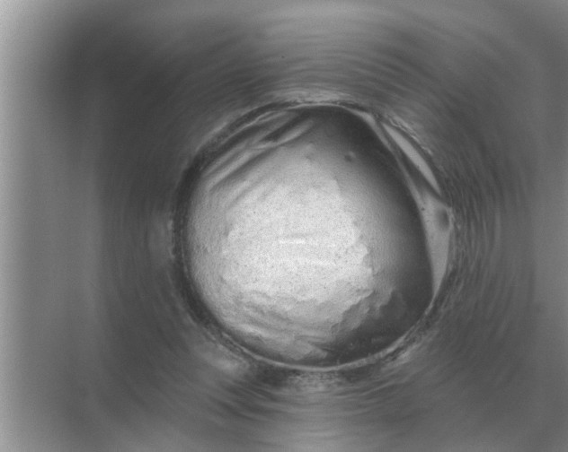 X0000070880351200606302143