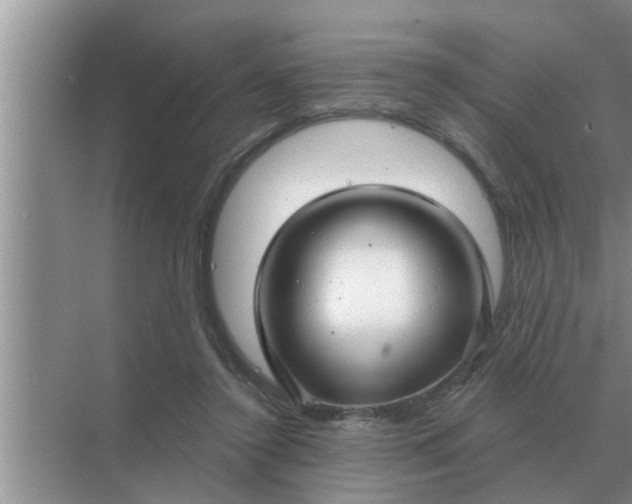 X0000070880356200606302143