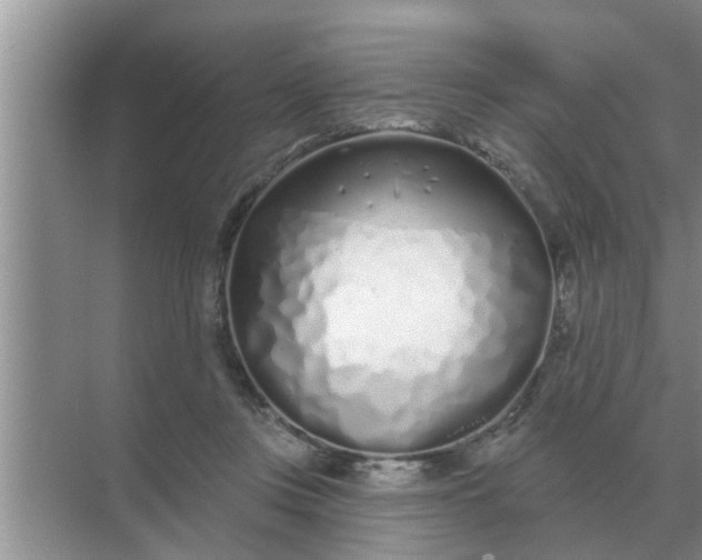 X0000070880359200606302143