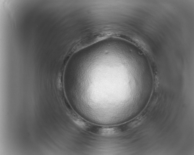 X0000070880361200606302143