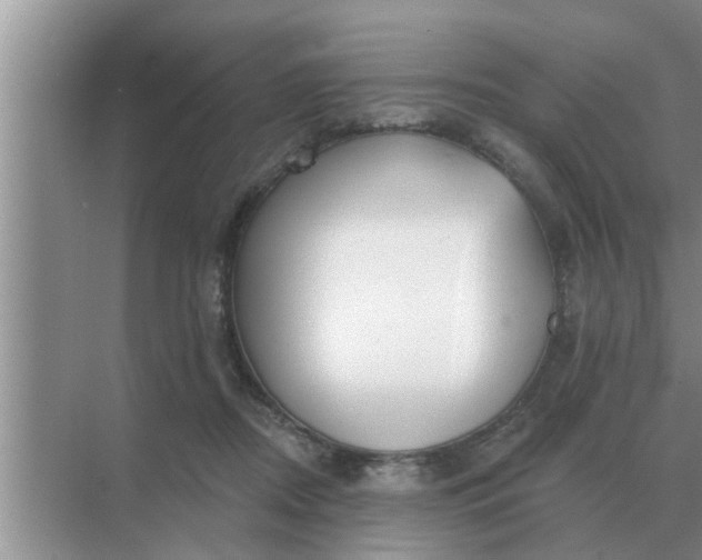 X0000070880362200606302143