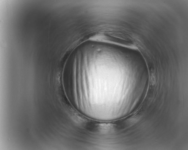 X0000070880363200606302143