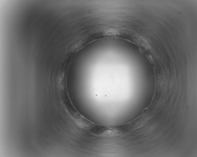 X0000070880364200606302143