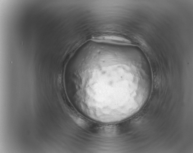 X0000070880365200606302143