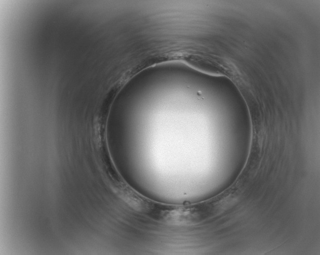 X0000070880366200606302143