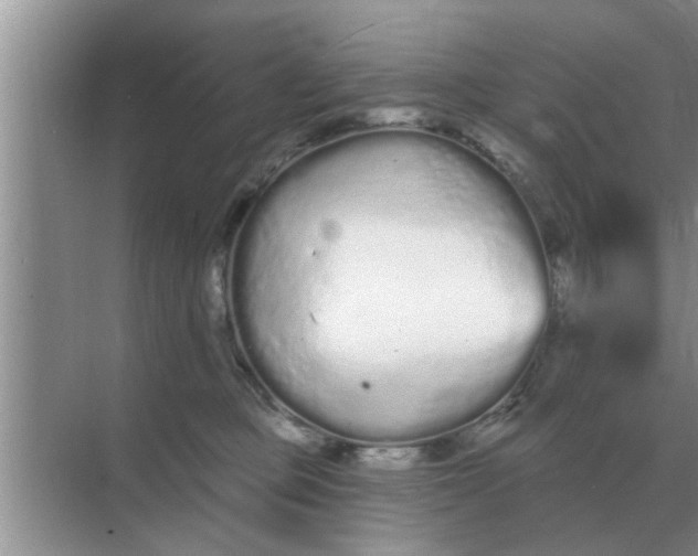 X0000070880373200606302144