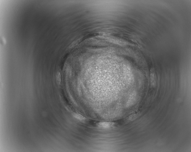 X0000070880375200606302144