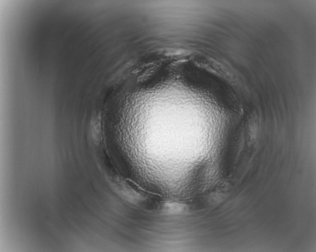 X0000070880376200606302144