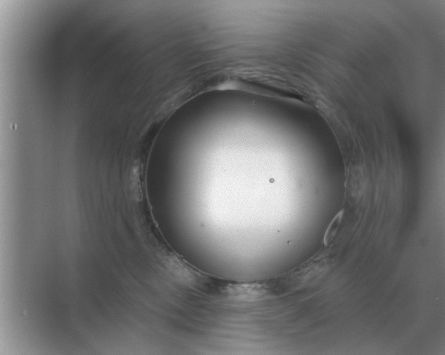 X0000070880378200606302144