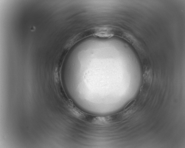 X0000070880381200606302144