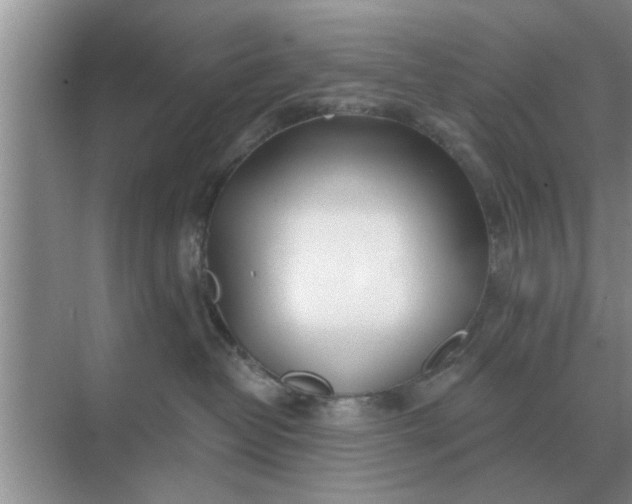 X0000070880382200606302144