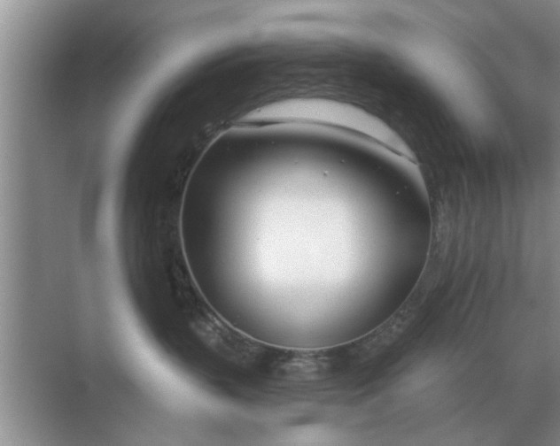 X0000070880383200606302144