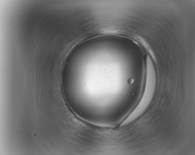 X0000070880385200606302143