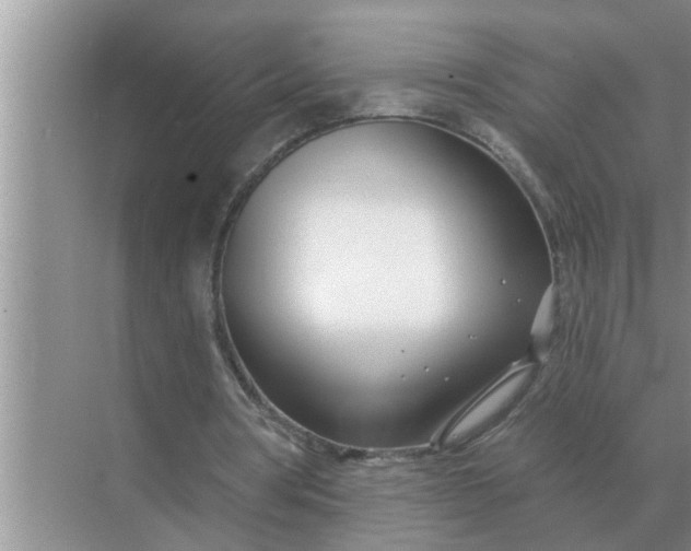 X0000070880386200606302143