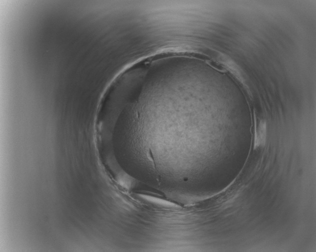 X0000070880387200606302143