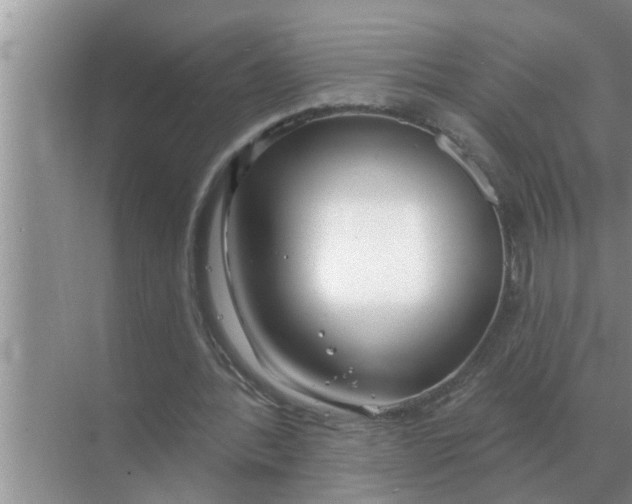 X0000070880388200606302143