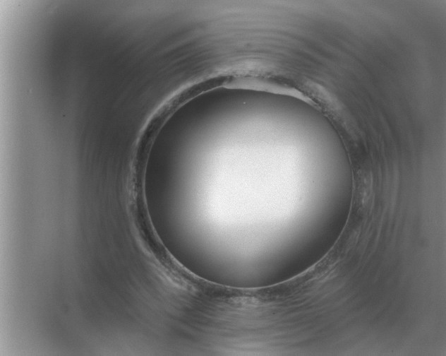 X0000070880392200606302143