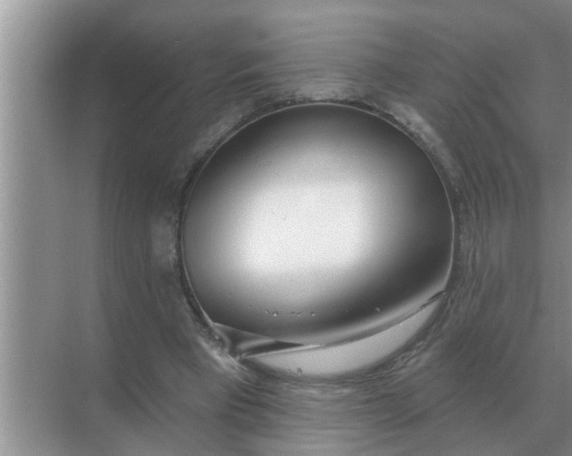 X0000070880393200606302143