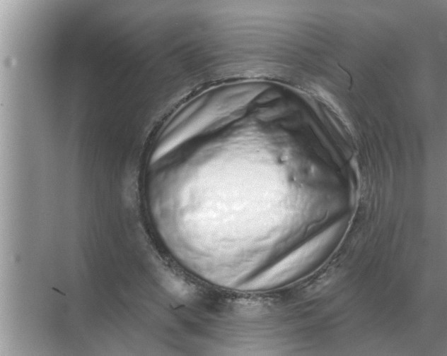 X0000070880394200606302143