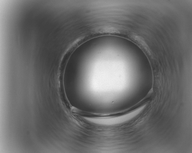 X0000070880395200606302143