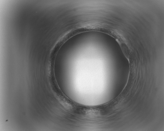 X0000070880400200606302143