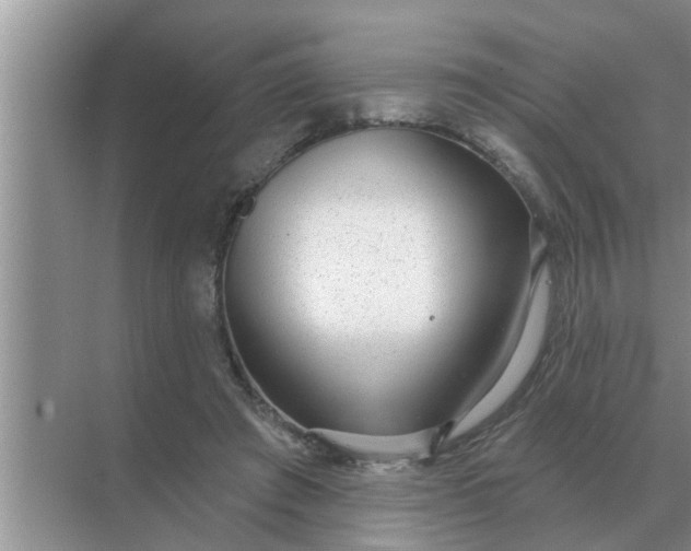 X0000070880401200606302143