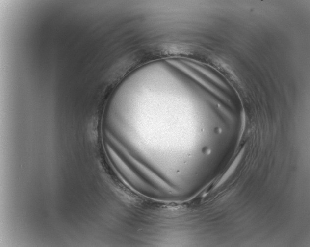 X0000070880402200606302143