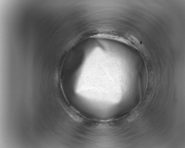 X0000070880405200606302143