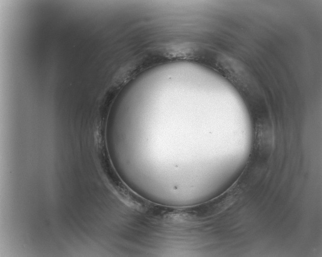 X0000070880408200606302143