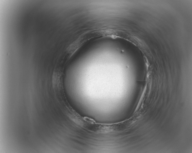 X0000070880409200606302143