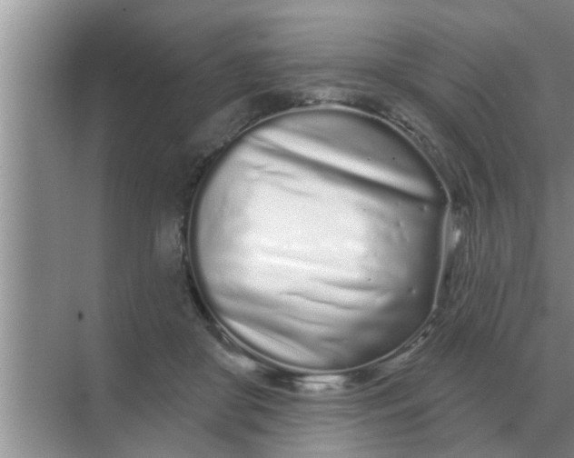 X0000070880410200606302142