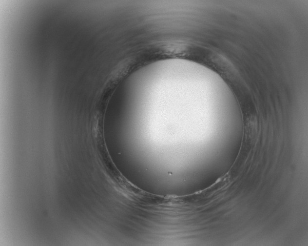 X0000070880412200606302142