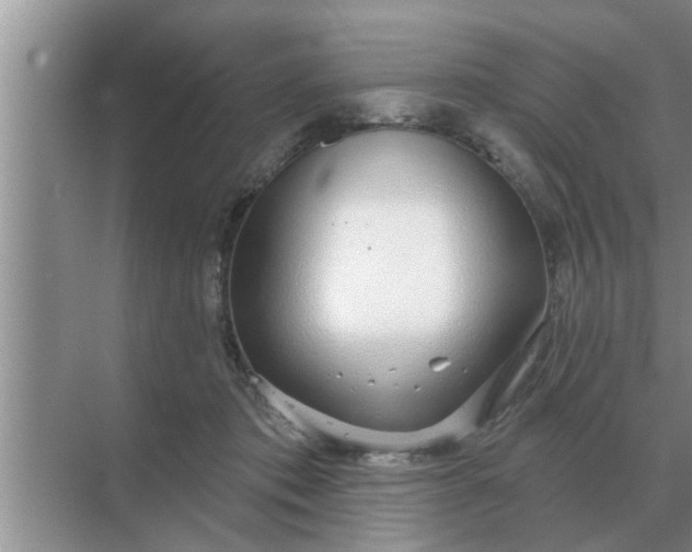 X0000070880413200606302142