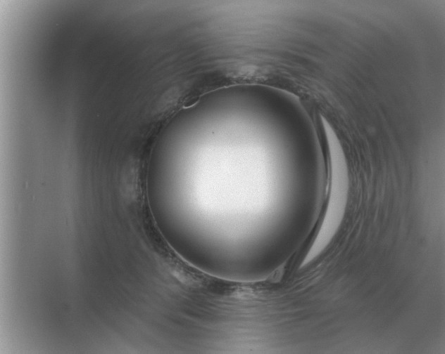 X0000070880416200606302142