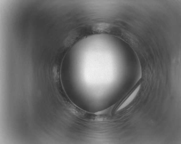 X0000070880420200606302142