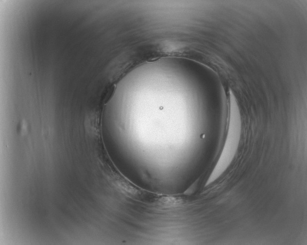 X0000070880421200606302142