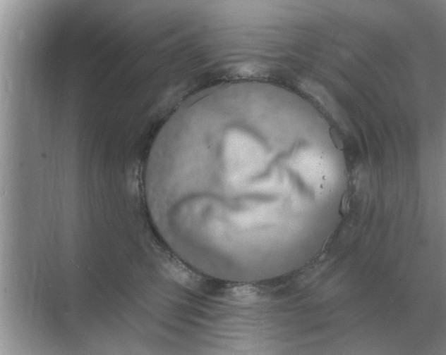 X0000070880423200606302142