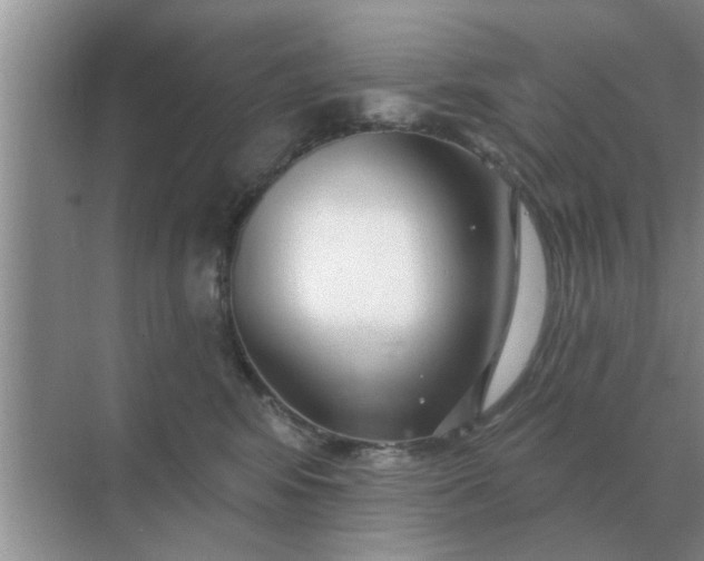 X0000070880424200606302142