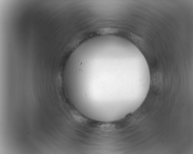 X0000070880426200606302142