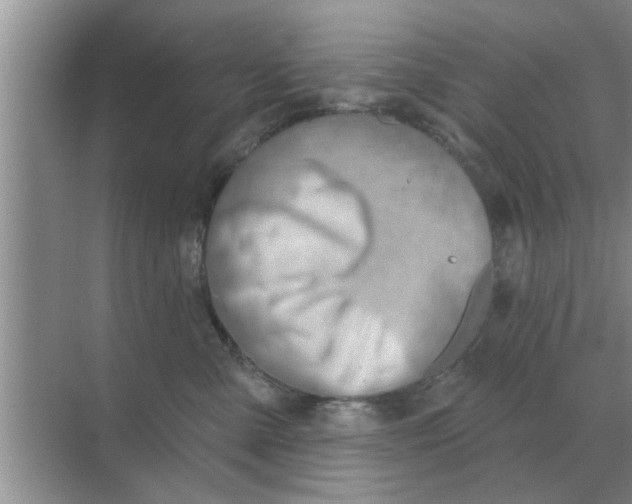 X0000070880427200606302142