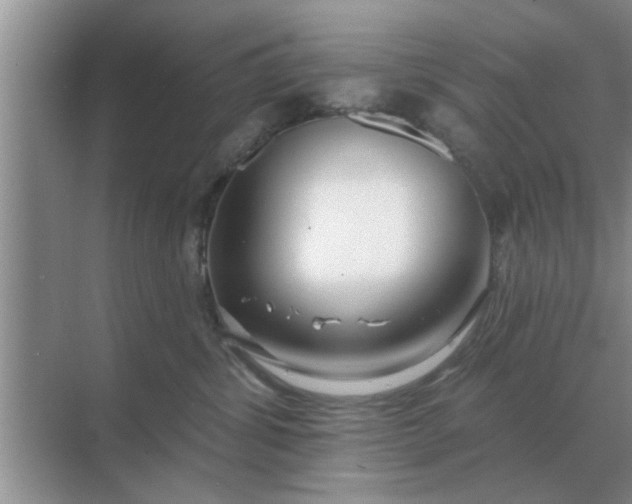 X0000070880428200606302142