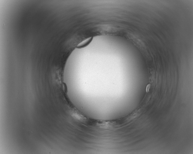 X0000070880430200606302142