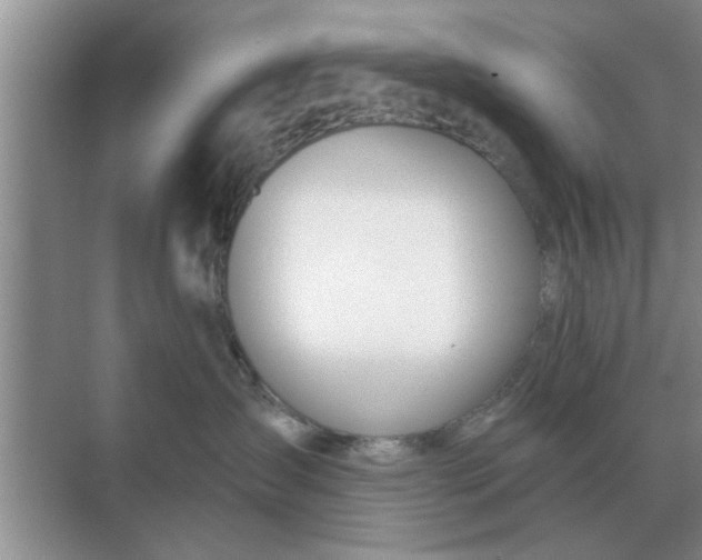 X0000070880431200606302142