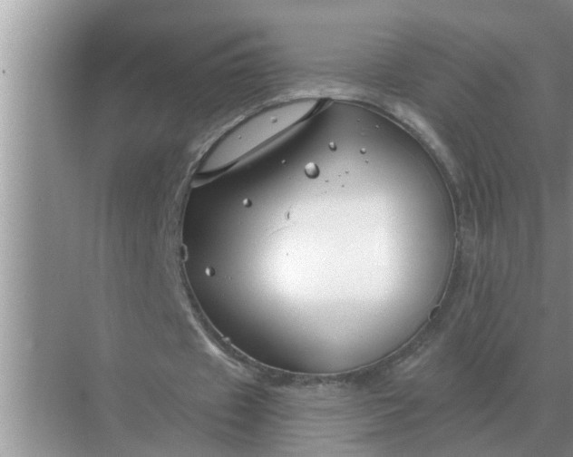 X0000070880433200606302141