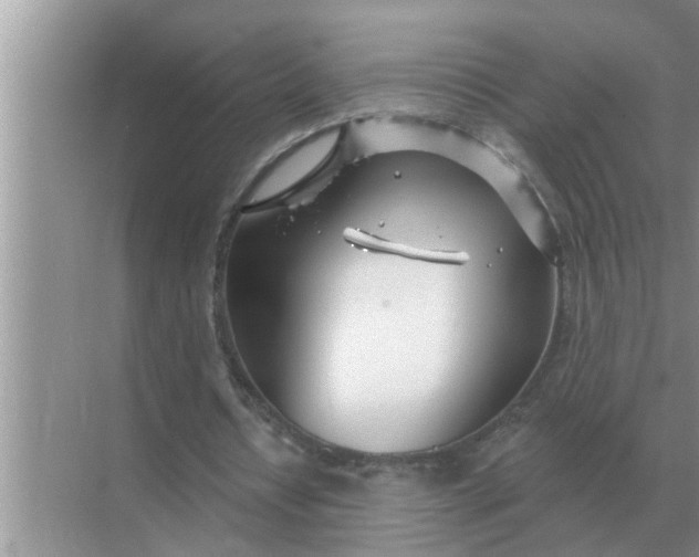 X0000070880434200606302141