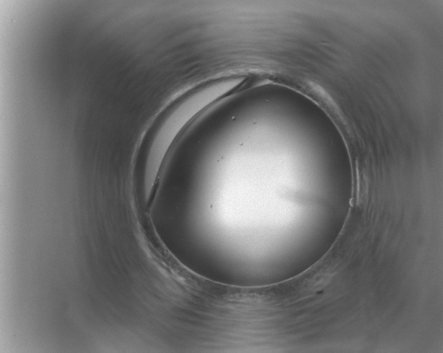 X0000070880435200606302141