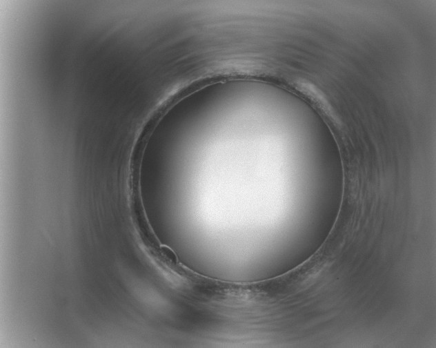 X0000070880439200606302141