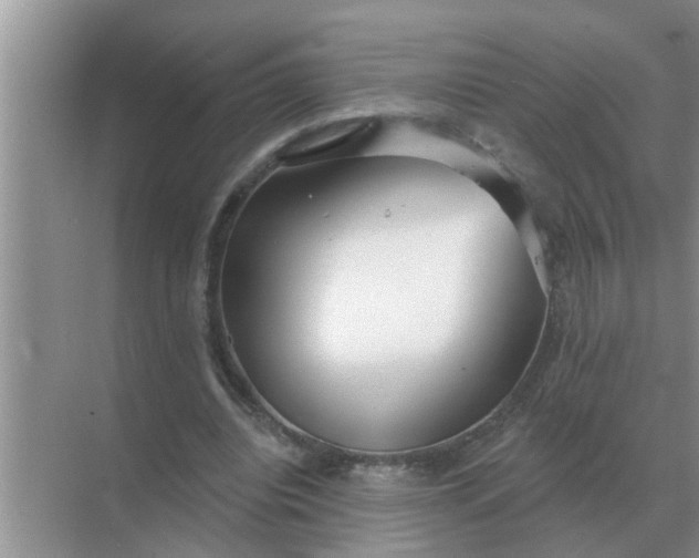 X0000070880440200606302141