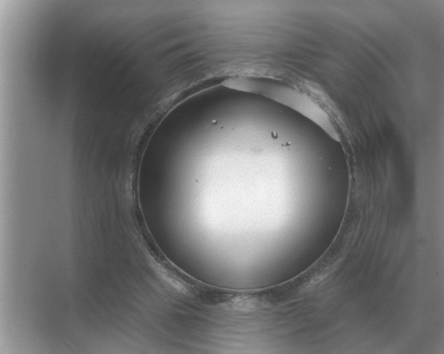 X0000070880441200606302141