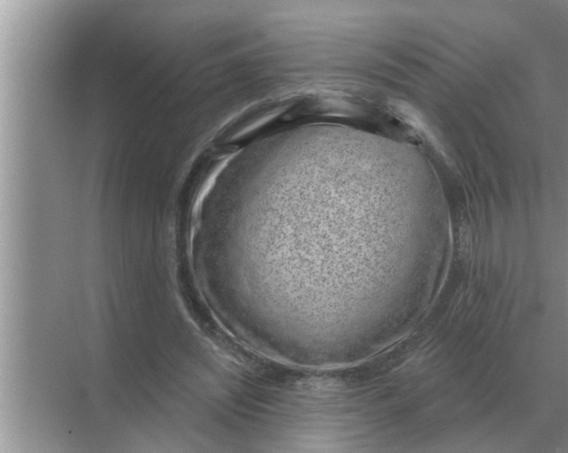 X0000070880444200606302142